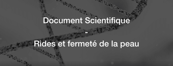 Rides et fermeté : comprendre la peau pour préserver son éclat naturellement - MyPureSkin
