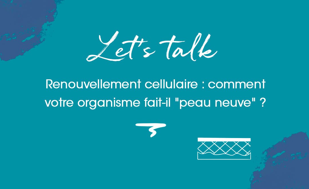 Vie et mort de la peau : comment les cellules se renouvellent-elles ? - MyPureSkin
